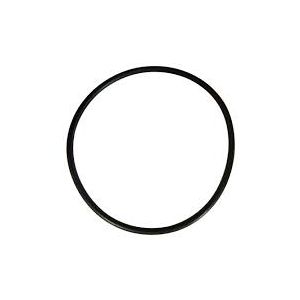 Pentair Whisperflo: O-ring pompdeksel (R350013)