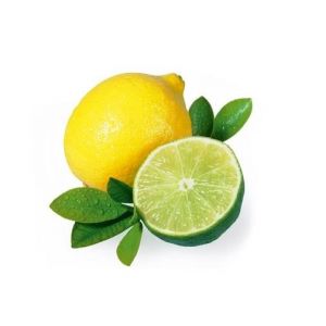 Saunageur: Citrus Limone 100 ml voorbeeld