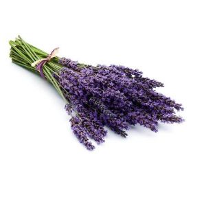 Saunageur: Lavendel 100 ml voorbeeld