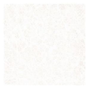 Elbe folie 1,65 x 25 mtr - White Pearl voorbeeld 
