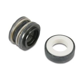 Pentair onderdeel: Mechanical seal (R354545SP)