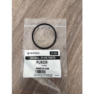 Pentair 5P2R O-ring diffuser
