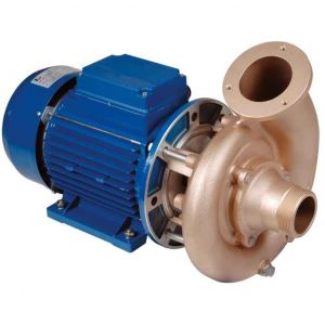 Fitstar pomp brons 2,80 kW (400 Volt)