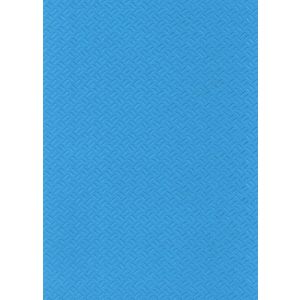 Elbe folie AS 1,65 x 10 mtr - D. Blauw voorbeeld 