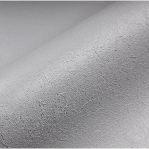 Alkorplan Anti-slip 1,65 x 25m - Grijs