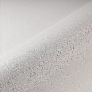 Alkorplan Anti-slip 1,65 x 25m - Wit