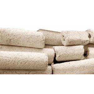 Bacteria Home voorkant