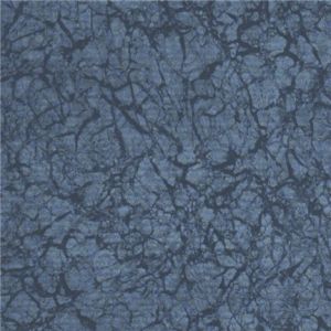 Elbe folie 1,65 x 25 mtr - Black Pearl voorbeeld 