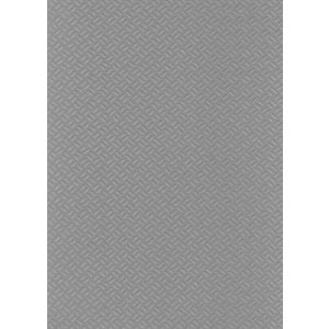 Elbe folie AS 1,65 x 10 mtr - Grijs voorbeeld 