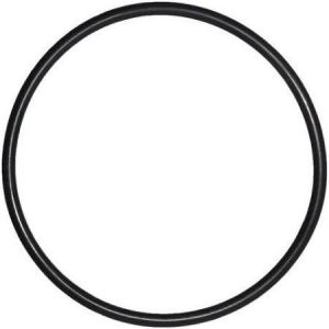 Pentair Triton I - II  zandfilter: O-ring deksel (R152501W)