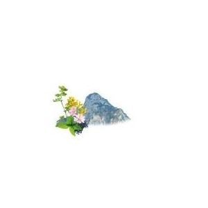 Saunageur: Alpine kruiden 100 ml
