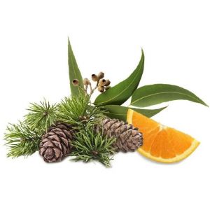 Saunageur: Ceder Euca Orange 100 ml
