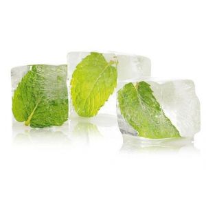 Saunageur: Eisminze 100 ml voorbeeld