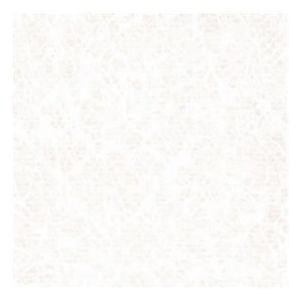 Elbe folie 1,65 x 25 mtr - White Pearl voorbeeld 