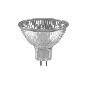 Vervangingslamp halogeen 100 Watt / 12 Volt voorbeeld
