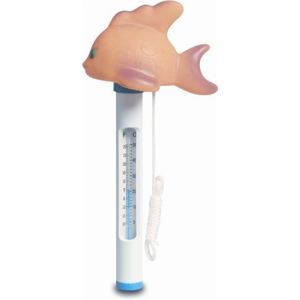 Thermometer goudvis voorbeeld
