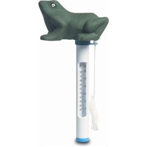 Thermometer kikker voorbeeld