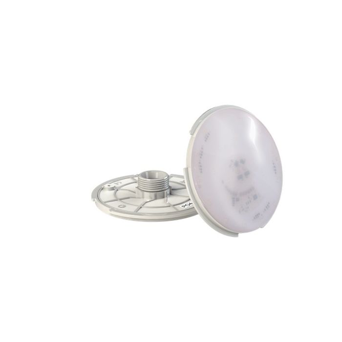 Spectravision Led Witte Verlichting Type Adagio Pro Dezwembadspecialist Nl