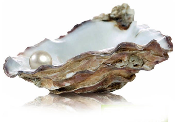 Vitrosphere glasparels oester